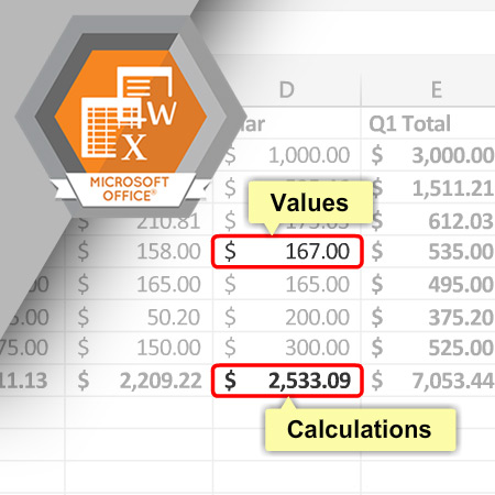 MSO-1002 Entering Text and Values