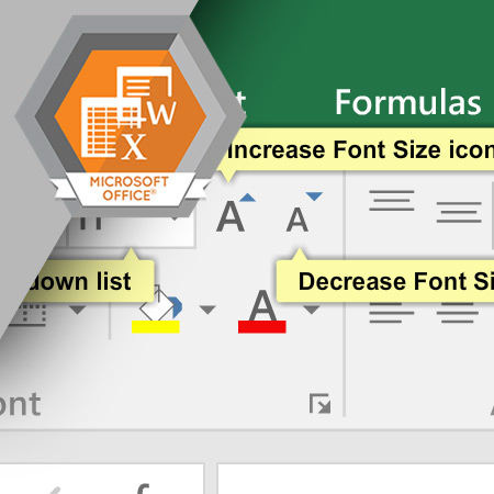 MSO-1003 Formatting Data